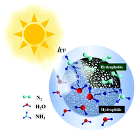 Graphical abstract: Insight into the surface property modification-enhanced C3N4 performance of photocatalytic nitrogen fixation