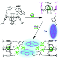 Graphical abstract: Highly selective recognition of the Al(ClO4)3 molecule by a mono-pyrene substituted thiacalix[4]arene chemosensor