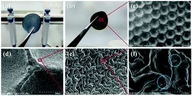 Graphical abstract: DLP printing of a flexible micropattern Si/PEDOT:PSS/PEG electrode for lithium-ion batteries