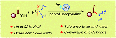 Graphical abstract: Visible-light-mediated amidation from carboxylic acids and tertiary amines via C–N cleavage