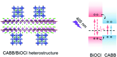 Graphical abstract: Promoting optoelectronic properties of Cs2AgBiBr6 nanocrystals by formation of heterostructures with BiOCl nanosheets
