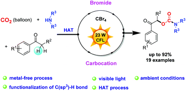 Graphical abstract: Visible light-driven carbamoyloxylation of the α-C(sp3)–H bond of arylacetones via radical-initiated hydrogen atom transfer