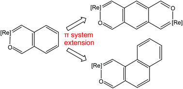 Graphical abstract: An aromatic dimetallapolycyclic complex with two rhenapyrylium rings