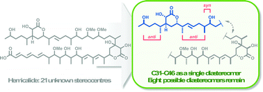 Graphical abstract: A synthesis-enabled relative configurational assignment of the C31–C46 region of hemicalide