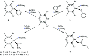 Graphical abstract: Facile C–H bond activation on a transient gallium imide
