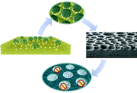 Graphical abstract: Fabrication of a nanocomposite film decorated with highly dispersive nanoparticles by following an interface-induced strategy