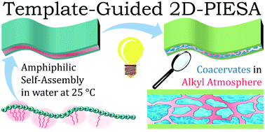 Graphical abstract: Two-dimensional polymerization-induced electrostatic self-assembly via a C12-polyelectrolyte lamellar template