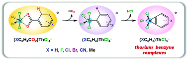 Graphical abstract: Gas-phase synthesis and structure of thorium benzyne complexes