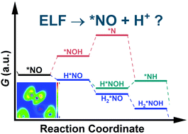 Graphical abstract: Theoretically identifying the electrocatalytic activity and mechanism of Zn doped 2D h-BN for nitrate reduction to NH3