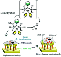 Graphical abstract: Demethylation of an artificial hydrogenase agent for prolonged CO release and enhanced anti-tau aggregation activity