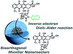 Graphical abstract: Bioorthogonal micellar nanoreactors for prodrug cancer therapy using an inverse-electron-demand Diels–Alder reaction
