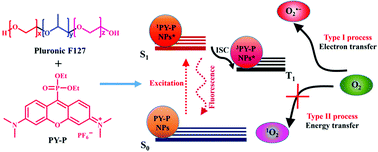 Graphical abstract: Rational design of a meso phosphate-substituted pyronin as a type I photosensitizer for photodynamic therapy