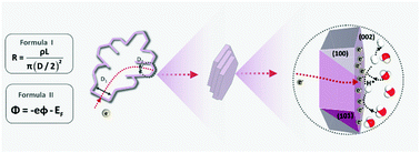 Graphical abstract: Hierarchically fractal Co with highly exposed active facets and directed electron-transfer effect