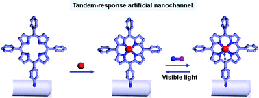 Graphical abstract: Porphyrin derivative-based tandem response nanochannels triggered by Zn2+ and NO