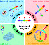 Graphical abstract: Conjugated polymers for biomedical applications