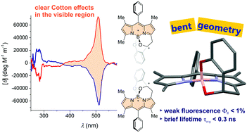Graphical abstract: A boron dipyrromethene chiral at boron and carbon with a bent geometry: synthesis, resolution and chiroptical properties