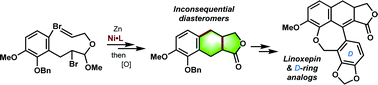 Graphical abstract: Total synthesis of linoxepin facilitated by a Ni-catalyzed tandem reductive cyclization