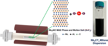 Graphical abstract: Exfoliation, delamination, and oxidation stability of molten salt etched Nb2CTz MXene nanosheets