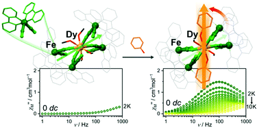 Graphical abstract: Neutral dicyanidoferrate(ii) metalloligands for the rational design of dysprosium(iii) single-molecule magnets