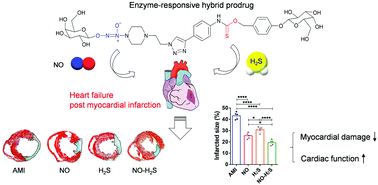 Graphical abstract: Enzyme-responsive hybrid prodrug of nitric oxide and hydrogen sulfide for heart failure therapy