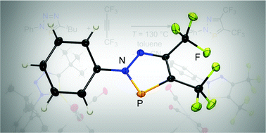 Graphical abstract: A new access to diazaphospholes via cycloaddition–cycloreversion reactions on triazaphospholes