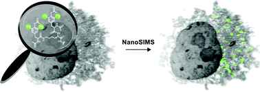 Graphical abstract: An iodine-containing probe as a tool for molecular detection in secondary ion mass spectrometry