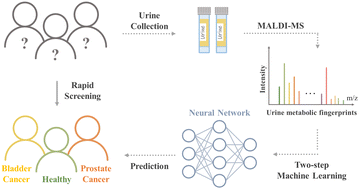 Graphical abstract: Rapid screening for genitourinary cancers: mass spectrometry-based metabolic fingerprinting of urine