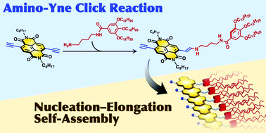 Graphical abstract: Cooperative self-assembling process of core-substituted naphthalenediimide induced by amino–yne click reaction