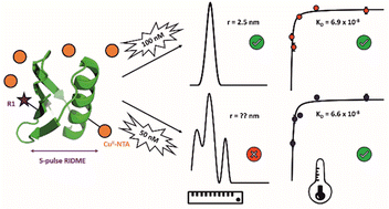 Graphical abstract: Pulse dipolar EPR for determining nanomolar binding affinities