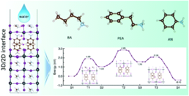 Graphical abstract: Improving the stability of hybrid perovskite FAPbI3 by forming 3D/2D interfaces with organic spacers