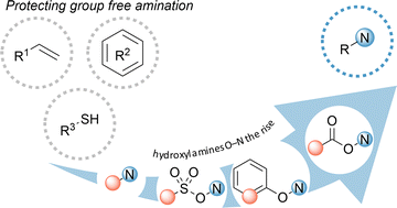 Graphical abstract: The advent of electrophilic hydroxylamine-derived reagents for the direct preparation of unprotected amines