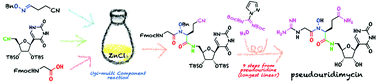 Graphical abstract: Total synthesis of pseudouridimycin and its epimer via Ugi-type multicomponent reaction