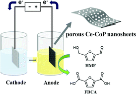 Graphical abstract: Phosphorus vacancy-engineered Ce-doped CoP nanosheets for the electrocatalytic oxidation of 5-hydroxymethylfurfural