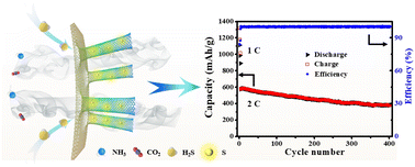 Graphical abstract: Gas-template directed in situ synthesis of highly nitrogen-doped carbon nanotubes with superior sulfur compatibility and enhanced functionalities