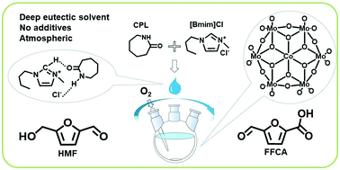 Graphical abstract: Deep eutectic solvents coupled with (NH4)3H6CoMo6O24 trigger aerobic oxidation of 5-hydroxymethylfurfural to 5-formyl-2-furancarboxylic acid