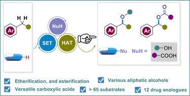 Graphical abstract: Transition metal-free approach for late-stage benzylic C(sp3)–H etherifications and esterifications