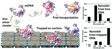 Graphical abstract: Tuning the fast generation of luminescent silver nanodots on a surface