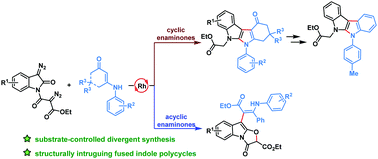 Graphical abstract: Substrate-directed divergent synthesis of fused indole polycycles through Rh(ii)-catalyzed cascade reactions of bis(diazo)indolin-2-ones