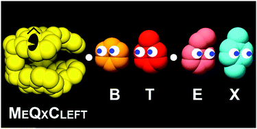 Graphical abstract: Tuning the conformational flexibility of quinoxaline cavitands for complexation at the gas–solid interface