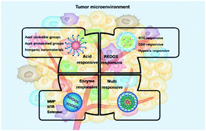 Graphical abstract: Tumor microenvironment responsive nanocarriers for gene therapy
