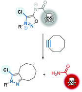 Graphical abstract: Selective chlorination of iminosydnones for fast release of amide, sulfonamide and urea-containing drugs