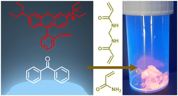 Graphical abstract: Photoinduced synthesis of fluorescent hydrogels without fluorescent monomers