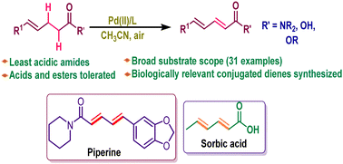 Graphical abstract: Synthesis of conjugated dienes via palladium-catalysed aerobic dehydrogenation of unsaturated acids and amides