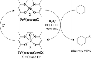 Graphical abstract: Selective functionalization of C(sp3)–H bonds: catalytic chlorination and bromination by IronIII-acacen-halide under ambient condition