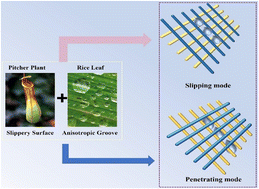 Graphical abstract: An integrated mesh with an anisotropic surface for unidirectional liquid manipulation