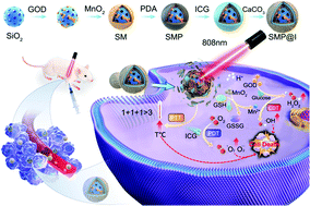 Graphical abstract: Simultaneous self-supply of H2O2 and GSH-depleted intracellular oxidative stress for enhanced photodynamic/photothermal/chemodynamic therapy