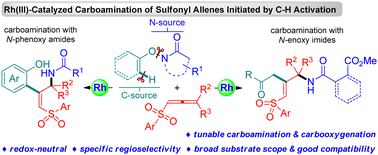 Graphical abstract: Rh(iii)-Catalyzed chemo-, regio- and stereoselective carboamination of sulfonyl allenes with N-phenoxy amides or N-enoxy imides
