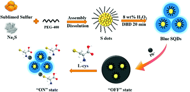 Graphical abstract: Dielectric barrier discharge-accelerated one-pot synthesis of sulfur quantum dots for fluorescent sensing of lead ions and l-cysteine