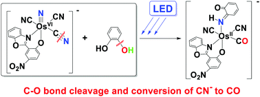 Graphical abstract: Oxidative C–O bond cleavage of dihydroxybenzenes and conversion of coordinated cyanide to carbon monoxide using a luminescent Os(vi) cyanonitrido complex