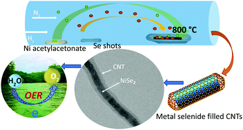 Graphical abstract: Carbon nanotube encapsulated metal selenide nanostructures for efficient electrocatalytic oxygen evolution reaction